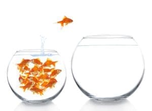 searching for blue ocean strategy